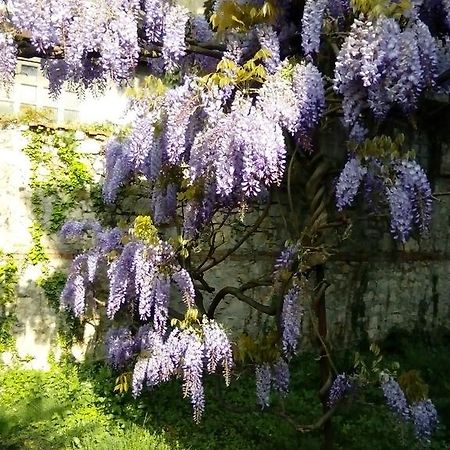 فيتشنزا Villa Osmanthus المظهر الخارجي الصورة