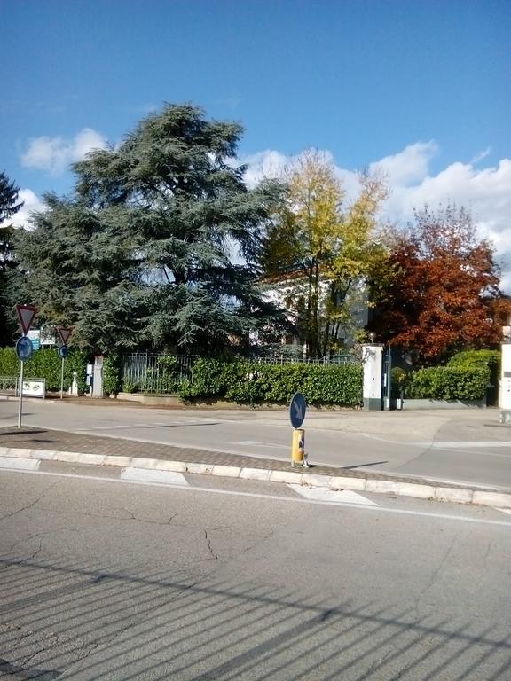 فيتشنزا Villa Osmanthus المظهر الخارجي الصورة